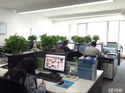 北京泰沃公關軟件開發 創新驅動與行業應用